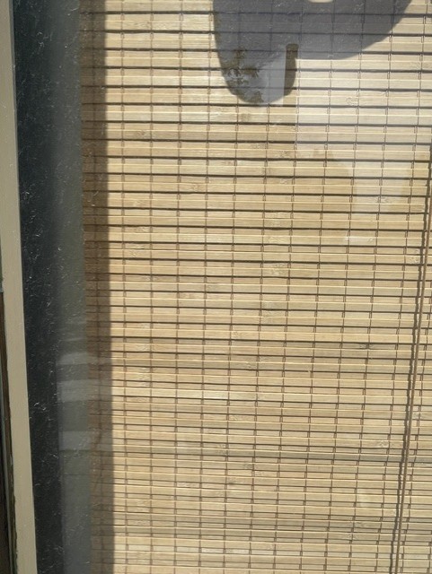Peludo Dyrebutikk